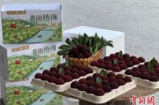 算命最准高速赋能产业升级：一条“杨梅路”的致富密码